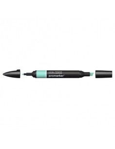 Pennarelli doppia punta Winsor&Newton Promarker soft green G817 - 0203275
