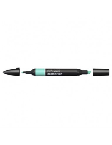 Pennarelli doppia punta Winsor&Newton Promarker soft green G817 - 0203275