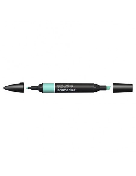 Pennarelli doppia punta Winsor&Newton Promarker soft green G817 - 0203275