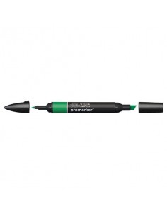 Pennarelli doppia punta Winsor&Newton Promarker lush green G756 - 0203228