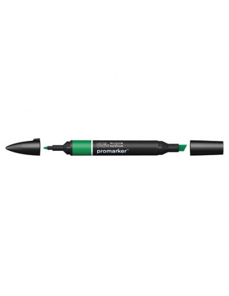 Pennarelli doppia punta Winsor&Newton Promarker lush green G756 - 0203228