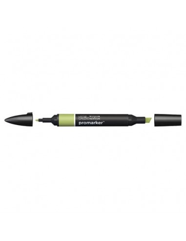Pennarelli doppia punta Winsor&Newton Promarker marsh green G136 - 0203281