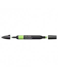 Pennarelli doppia punta Winsor&Newton Promarker leaf green G258 - 0203341