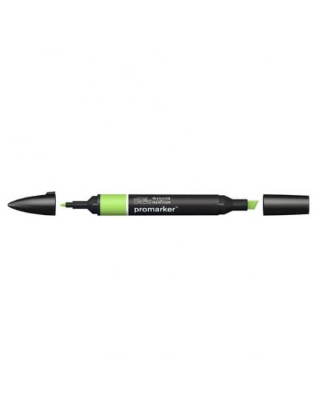 Pennarelli doppia punta Winsor&Newton Promarker leaf green G258 - 0203341