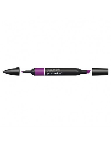 Pennarelli doppia punta Winsor&Newton Promarker plum V735 - 0203197