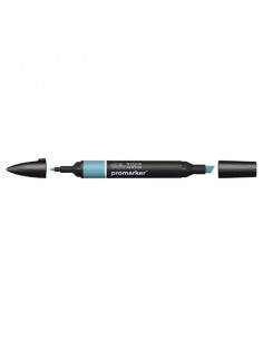 Pennarelli doppia punta Winsor&Newton Promarker verdigris C426 - 0203021