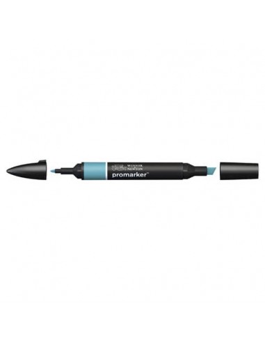 Pennarelli doppia punta Winsor&Newton Promarker verdigris C426 - 0203021