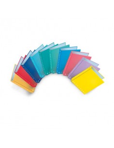 Raccoglitore ad anelli Pigna Monocromo - A4 27x32 cm 4 anelli Ø 30 mm colori assortiti - 0011963