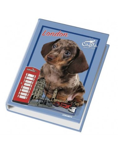 Raccoglitore ad anelli Blasetti - 4 anelli Ø 30 - 26x32 cm per fogli A4 - fantasie assortite Cuccioli - 4170
