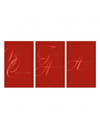 Biglietti Biembi Midi Da Vinci Compleanno e Auguri 9x14 cm conf. 18 pz assortiti rosso - BXBDKTC11