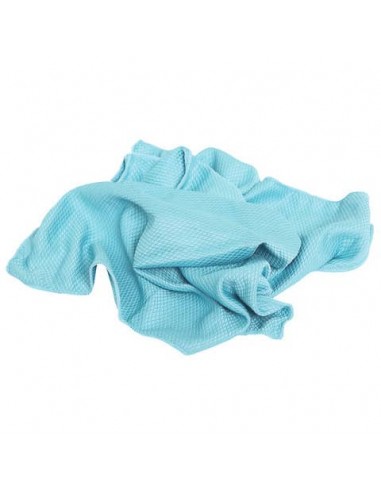 Panno in microfibra Pippo per vetri - 50x40 cm colore azzurro - NP1806
