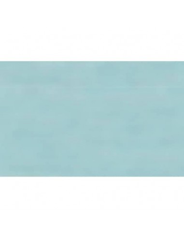 Carta velina Rex-Sadoch 50x70 cm conf. da 26 fogli celeste KV106360