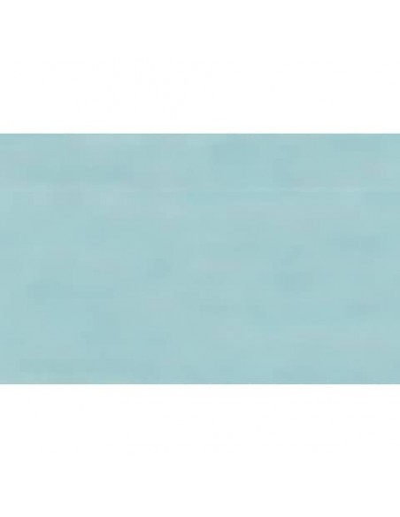 Carta velina Rex-Sadoch 50x70 cm conf. da 26 fogli celeste KV106360