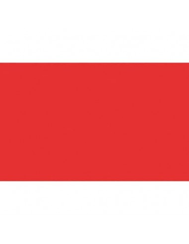 Carta velina Rex-Sadoch 50x70 cm conf. da 26 fogli rosso KV106427