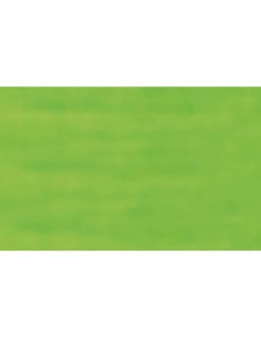 Carta velina Rex-Sadoch 50x70 cm conf. da 26 fogli verde chiaro KV106371