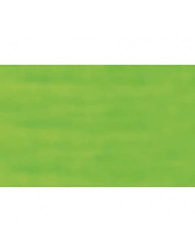 Carta velina Rex-Sadoch 50x70 cm conf. da 26 fogli verde chiaro KV106371