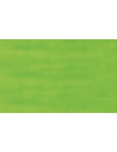 Carta velina Rex-Sadoch 50x70 cm conf. da 26 fogli verde chiaro KV106371