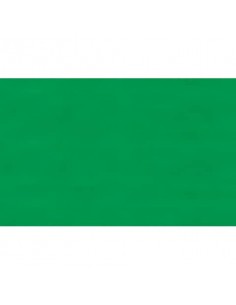 Carta velina Rex-Sadoch 50x70 cm conf. da 26 fogli verde prato KV106472