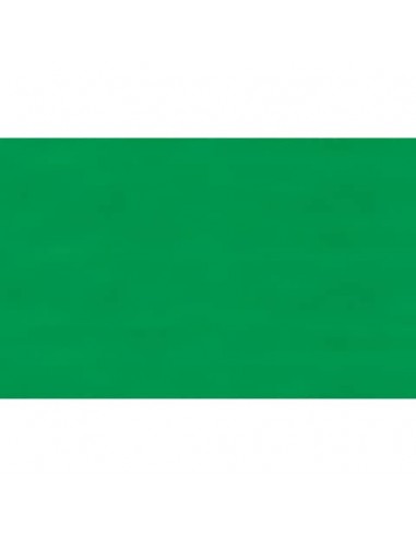 Carta velina Rex-Sadoch 50x70 cm conf. da 26 fogli verde prato KV106472