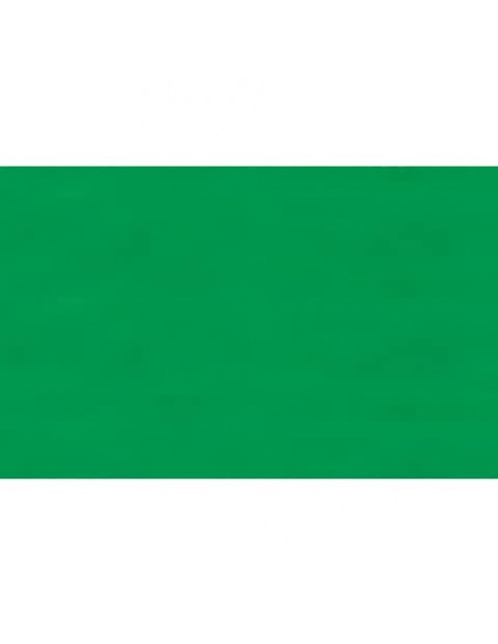 Carta velina Rex-Sadoch 50x70 cm conf. da 26 fogli verde prato KV106472