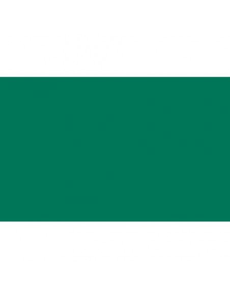 Carta velina Rex-Sadoch 50x70 cm conf. da 26 fogli verde scuro KV106560