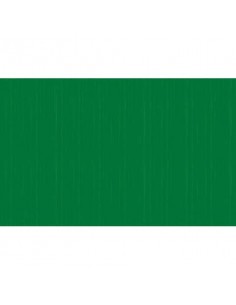 Carta crespa colorata Rex-Sadoch in rotolo 50x250 cm verde primario KR363470