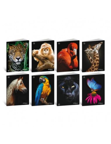 Maxi quaderni Blasetti Animali formato A4  carta 100 g conf. 10 pezzi rigatura A - 8626