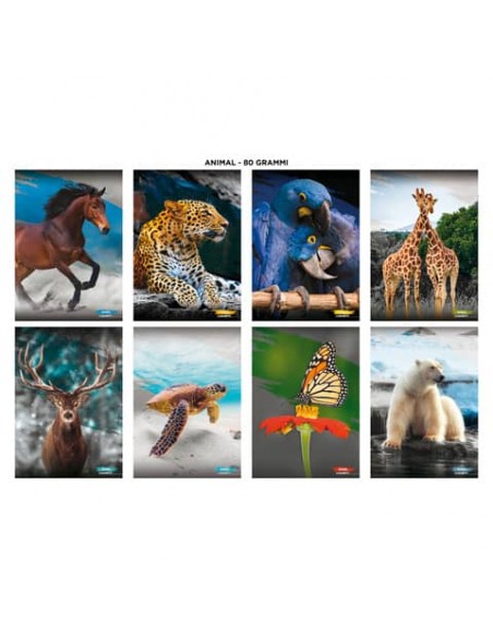 Maxi quaderni Blasetti Animali formato A4  carta 80 g conf. 10 pezzi rigatura Q - 8583