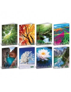 Maxi quaderno Blasetti Quadecò formato A4  carta 80 g conf. 10 pezzi rigatura 1R - 4772