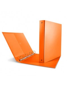 Raccoglitore Sei Rota Nettuno - 4 anelli a R 30 mm - A4 - dorso 3