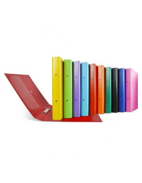 Raccoglitore Sei Rota Nettuno - 2 anelli a R 30 mm - A4 - dorso 3