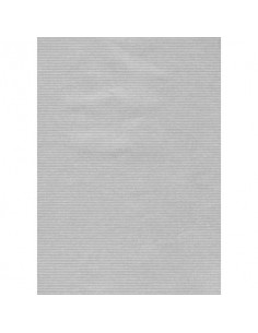 Carta regalo in fogli Rex-Sadoch formato 70x100 cm - conf. 10 pezzi - argento - 198 -16