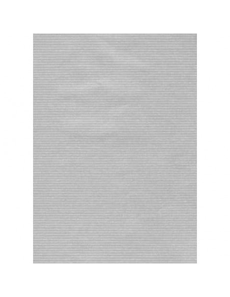 Carta regalo in fogli Rex-Sadoch formato 70x100 cm - conf. 10 pezzi - argento - 198 -16