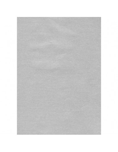 Carta regalo in fogli Rex-Sadoch formato 140x100 cm - conf. 10 pezzi - argento - 165BIS -12