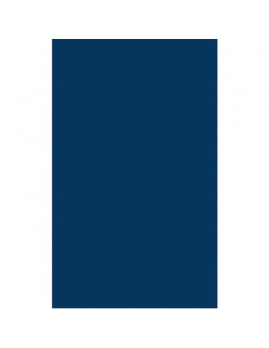 Carta regalo in fogli Rex-Sadoch formato 140x100 cm - conf. 10 pezzi - blu - 162BIS -12