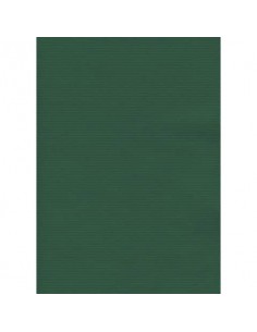 Carta regalo in fogli Rex-Sadoch formato 140x100 cm - conf. 10 pezzi - verde - 190BIS -16