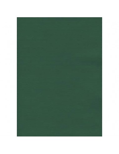 Carta regalo in fogli Rex-Sadoch formato 140x100 cm - conf. 10 pezzi - verde - 190BIS -16