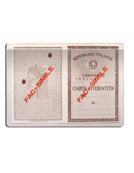 Porta carta di identità Alplast trasparente 1016