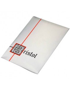 Plichi Blasetti 10 biglietti più 10 buste - conf. 50 pz - 90 g 75x112 mm 583