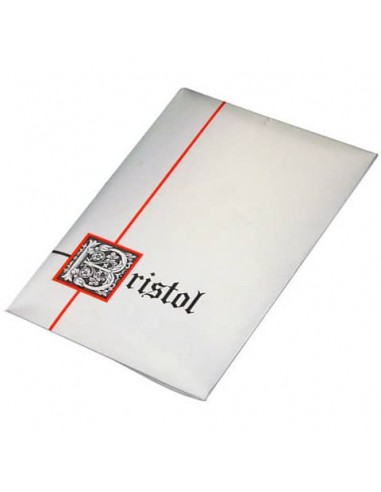 Plichi Blasetti 10 biglietti più 10 buste - conf. 50 pz - 90 g 75x112 mm 583