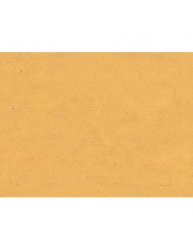 Tovagliette monouso Le Nappage in carta paglia 30x40 cm neutra - conf. 500 pz - EYTVT1129