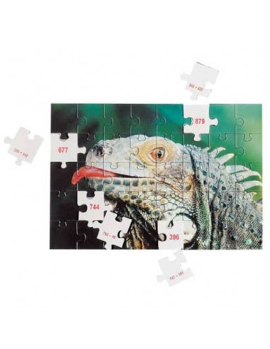 Mathpuzzle ADDIZIONI entro il 1000  LFSC23467