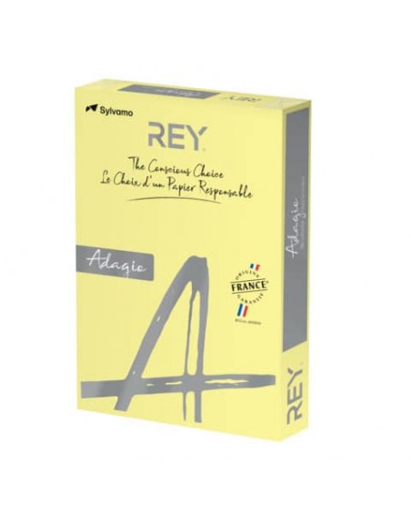 Carta colorata A4 Sylvamo Rey Adagio 160 g/m² giallo canarino 03 - Risma da 250 fogli - ADAGI160X473