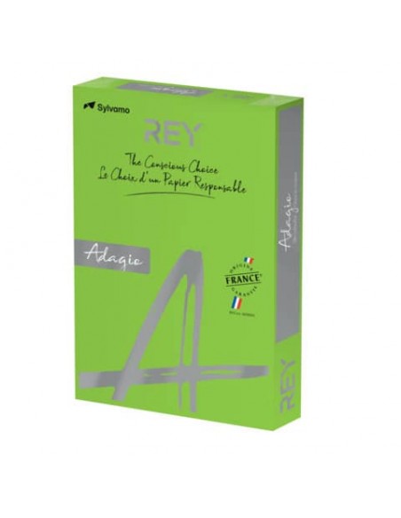 Carta colorata A4 Sylvamo Rey Adagio 160 g/m² verde intenso 52 - Risma da 250 fogli - ADAGI160X457