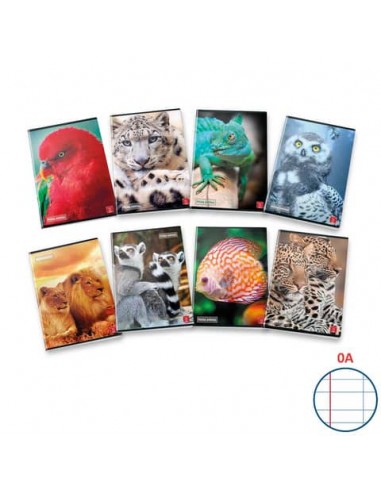 Quaderno 42 fogli PIGNA Animal A4 a righe 0A con margine assortiti 02330130A