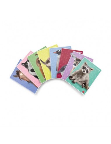 Quaderno 42 pagine PIGNA Dolci Cuccioli A4 a righe 0A con margine assortiti 02330170A