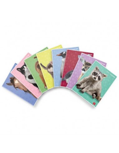Quaderno 42 fogli PIGNA Dolci Cuccioli A4 a quadretti 4M assortiti 02330174M