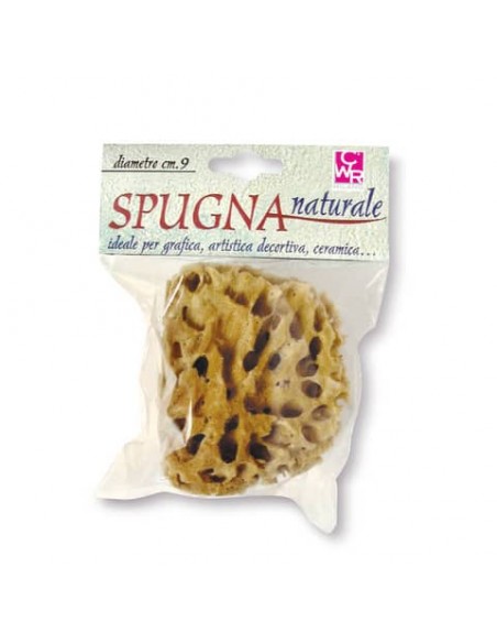 Spugna naturale per attività artistiche DOM - diametro 9 cm - 06029