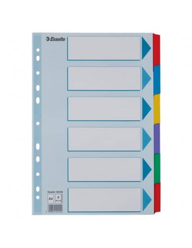 Divisori intercalari Esslete Mylar A4 - conf. 20 ff da 6 tasti colorati cad. - 100168