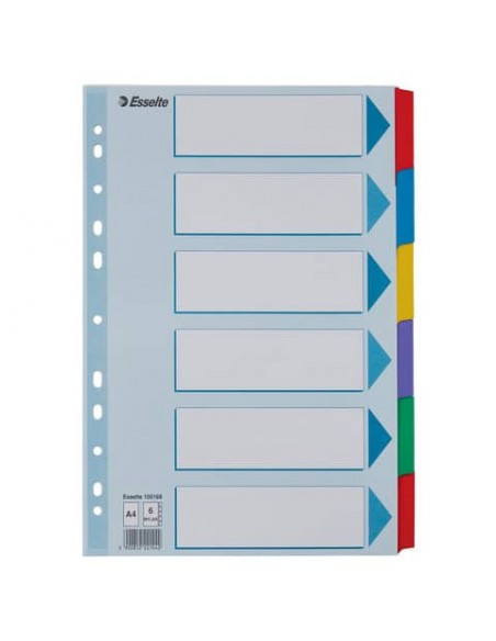 Divisori intercalari Esslete Mylar A4 - conf. 20 ff da 6 tasti colorati cad. - 100168